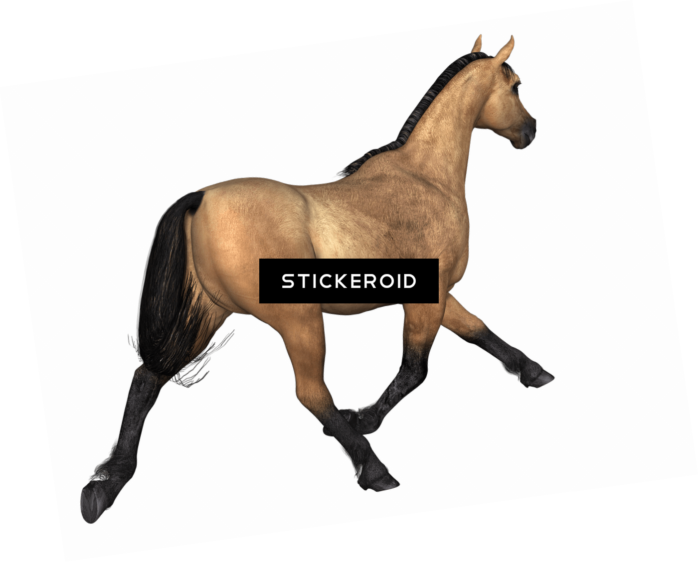 Horses Конь - Horse (1400x1128), Png Download