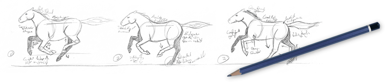 Galway Farm Horses - Horse (1574x341), Png Download