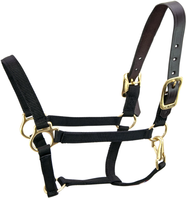 Breakaway 3/4" Halter With Straight Chin - Halter (1024x819), Png Download