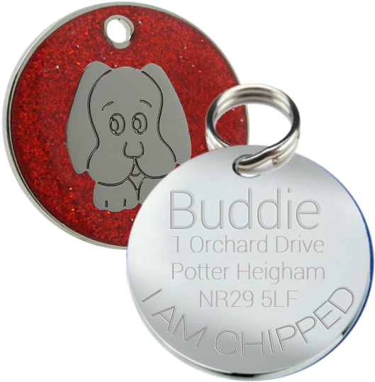 Pet Tag (600x600), Png Download