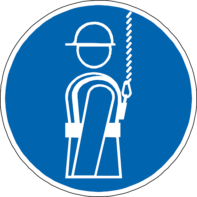 Safety Harness Vector - Harness Icon (640x640), Png Download