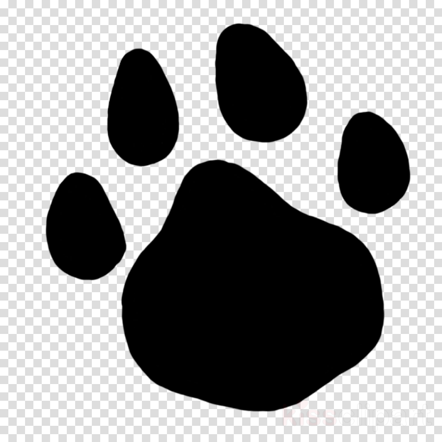 Cat Paw Print Png Clipart Cat Dog Paw - Transparent Background Lp Record Clip Art (900x900), Png Download