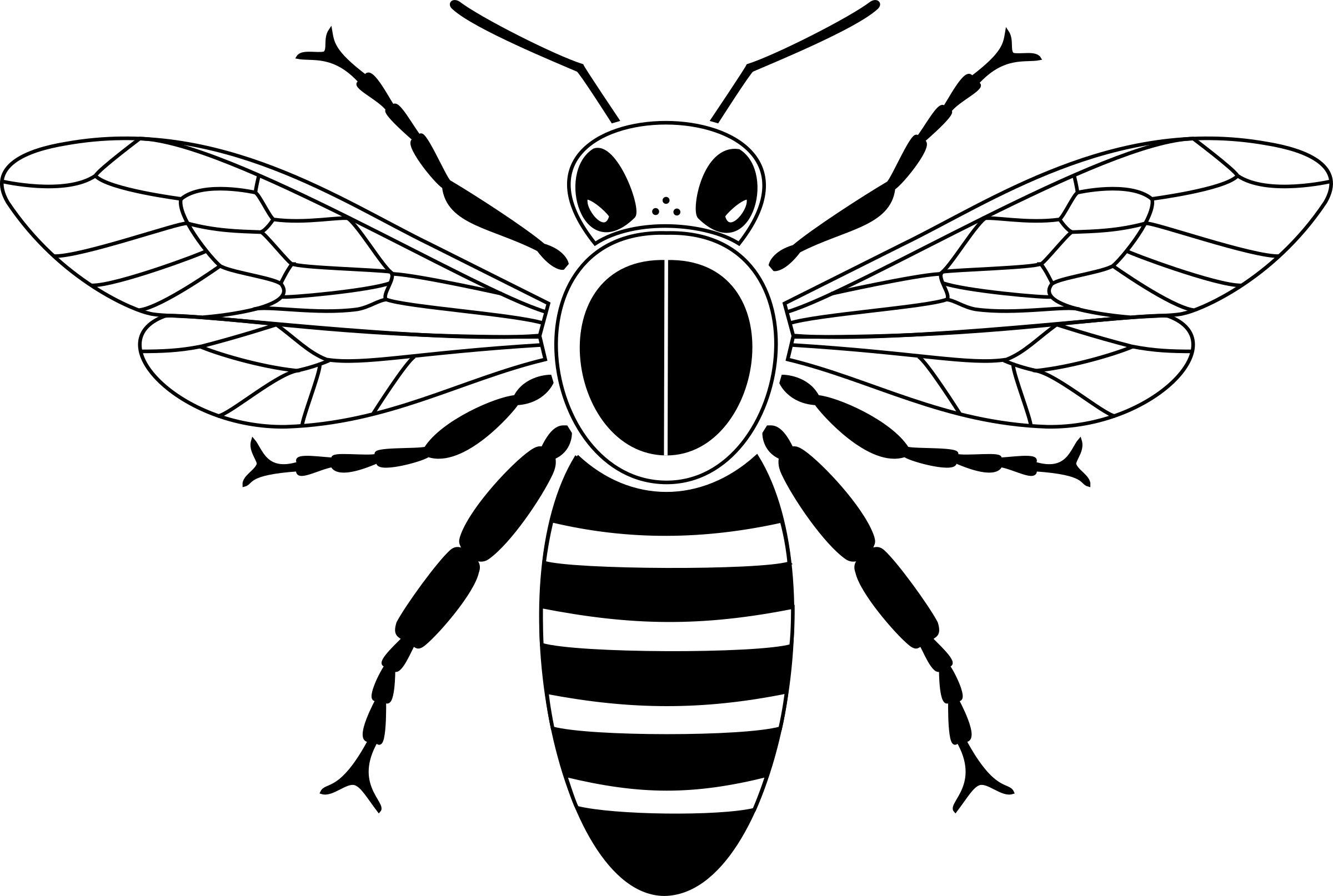Download Graphic Free Stock Abc Clipart Free Club Image - Honey Bee Drawing Simple (2400x1614), Png Download