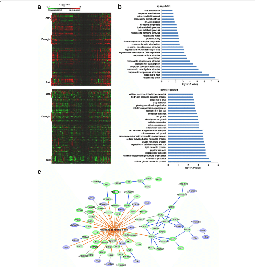 Gene Expression Changed By Gex1a Corresponding To Stress - Creative Arts (850x893), Png Download