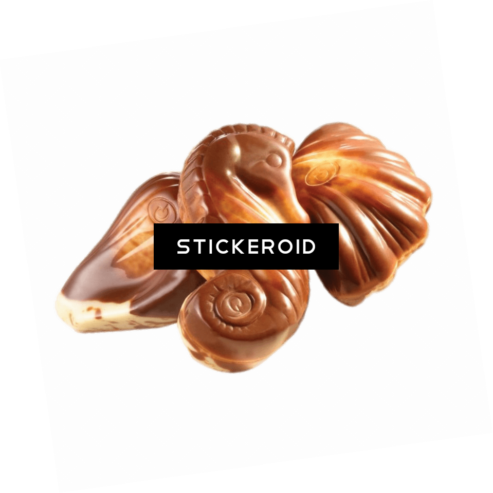 Seashell Animals - Belgian Seashell Chocolates India (959x960), Png Download
