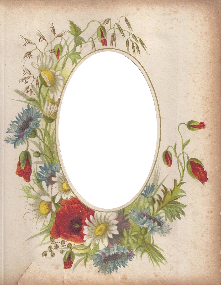 Victorian Photo Album Oval Floral Frame ~ Zibi Vintage - Picture Frame (926x1194), Png Download