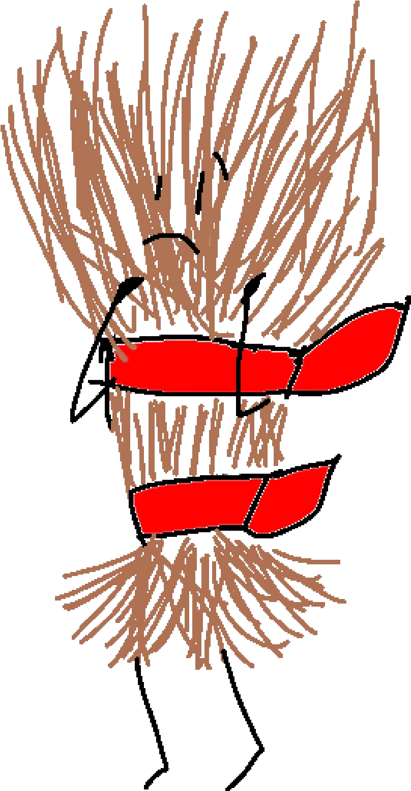 Bo-pasta - Pasta (1188x1790), Png Download