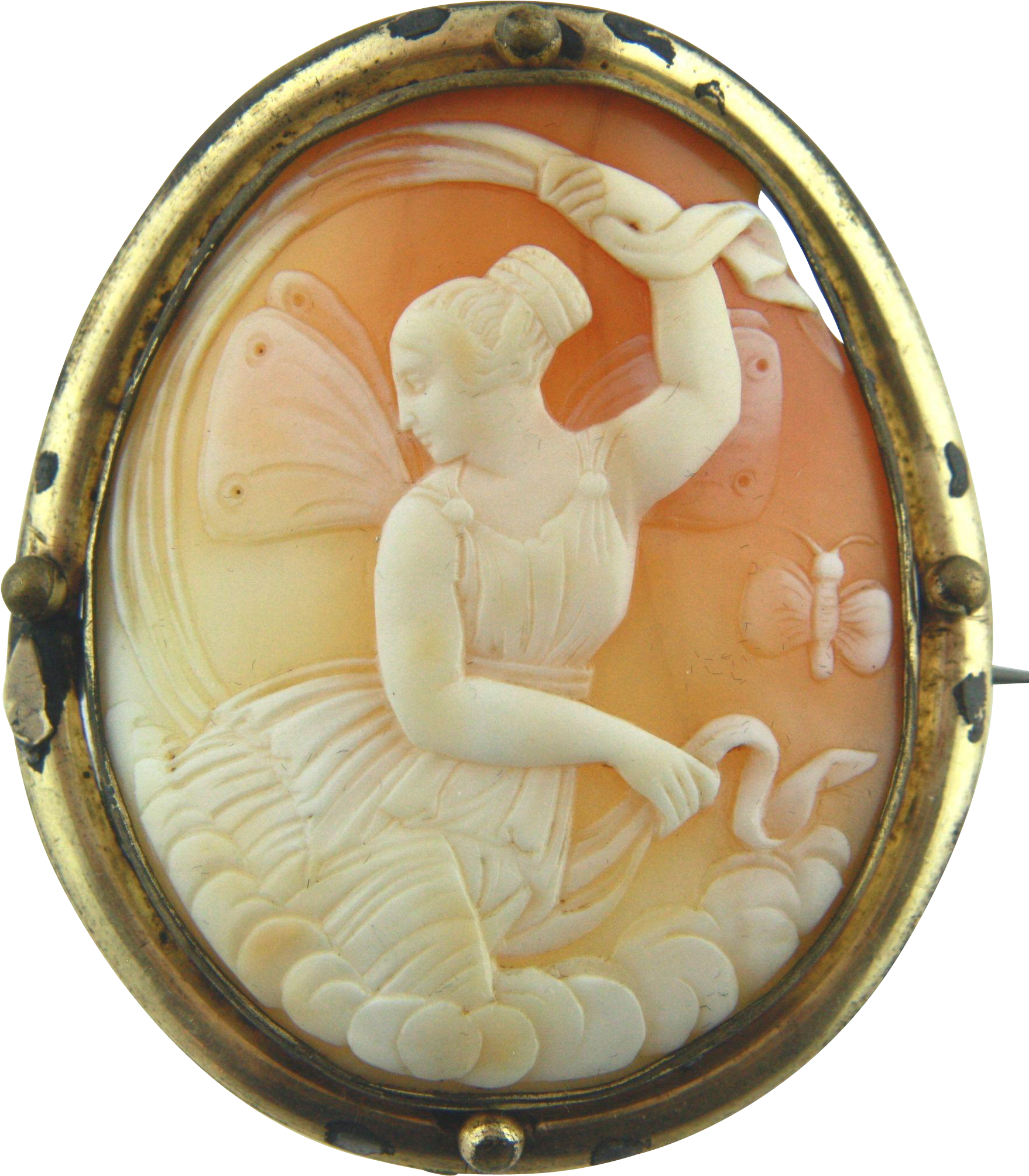Large Victorian Shell Cameo Of Psyche - Carving (2009x2009), Png Download