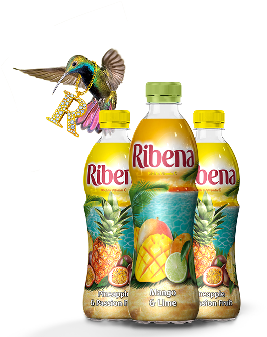 Tropical - Ribena Mango & Lime 12 X 500ml (640x677), Png Download