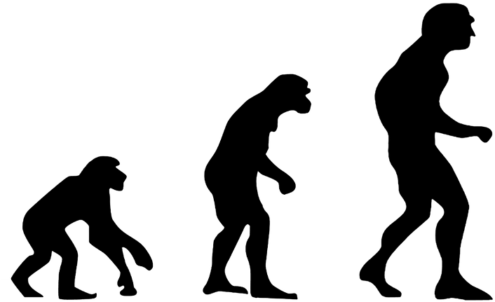 Recyclerview From Zero To Hero - Phylogenetics: A Comprehensive Overview (760x532), Png Download