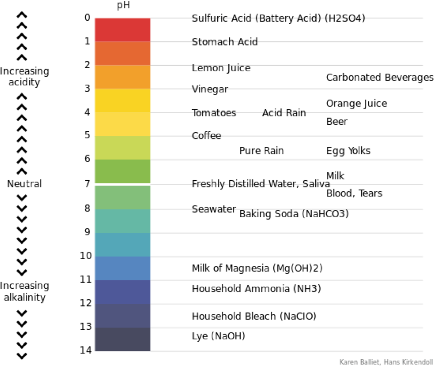 Image/png" - }s - 15 - "pb Cover Medium" - A - 4 - - Acid Base And Neutral Chart (897x758), Png Download