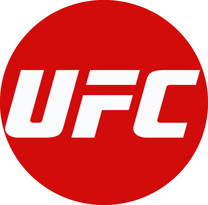 Ultimate Fighting Championship - Ufc 168 Press Conference (719x706), Png Download
