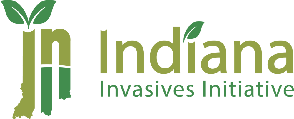 Iii Logo 4c@3x - Graphic Design (1000x405), Png Download