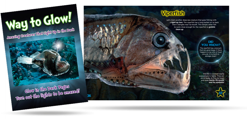 Carp (989x458), Png Download