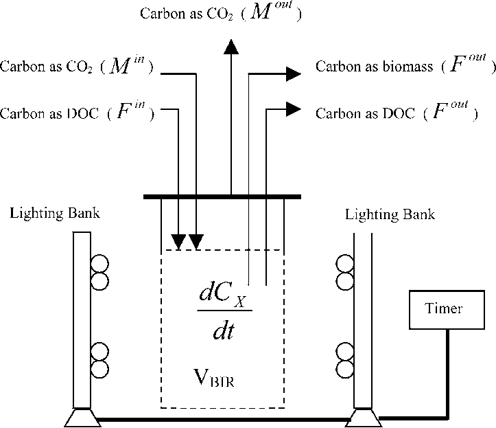 Experimental Setup For Continuous Cultivation Of Marine - Diagram (723x623), Png Download