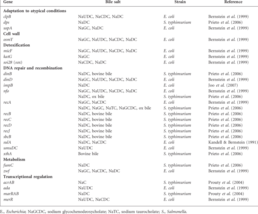 Genes Upregulated In Bile Treated Gram Negative Bacteria - Bile (850x704), Png Download