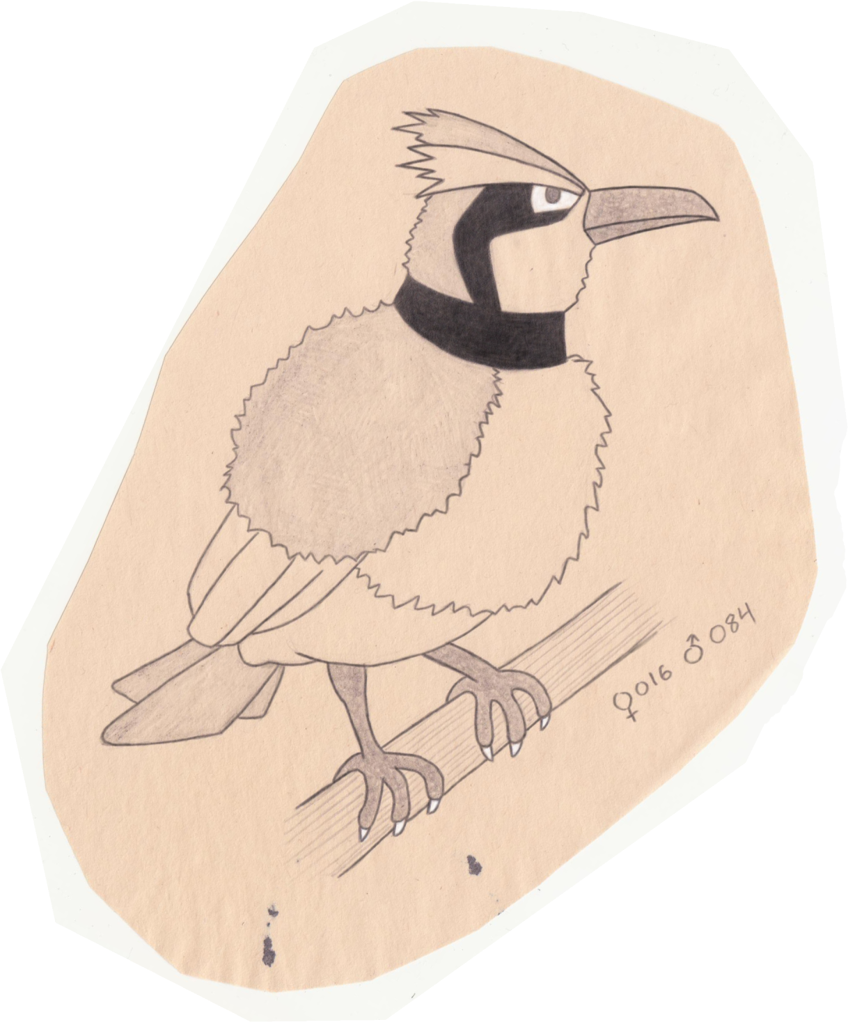 Tiny Bird Pokemon - Atlantic Puffin (1280x1481), Png Download