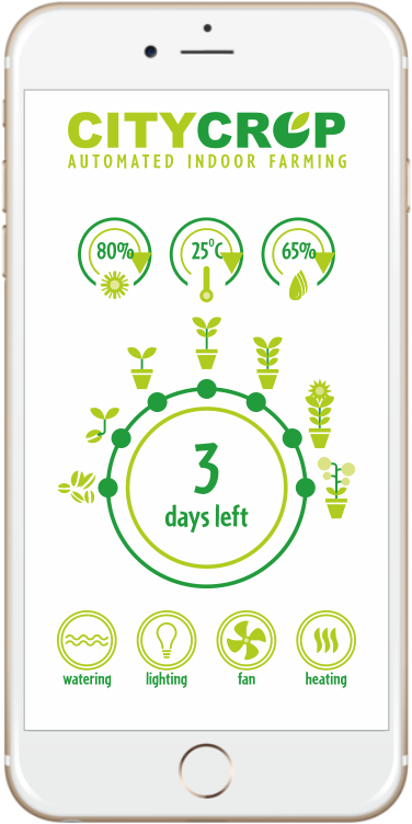 Citycrop-iphone - Iphone (856x857), Png Download