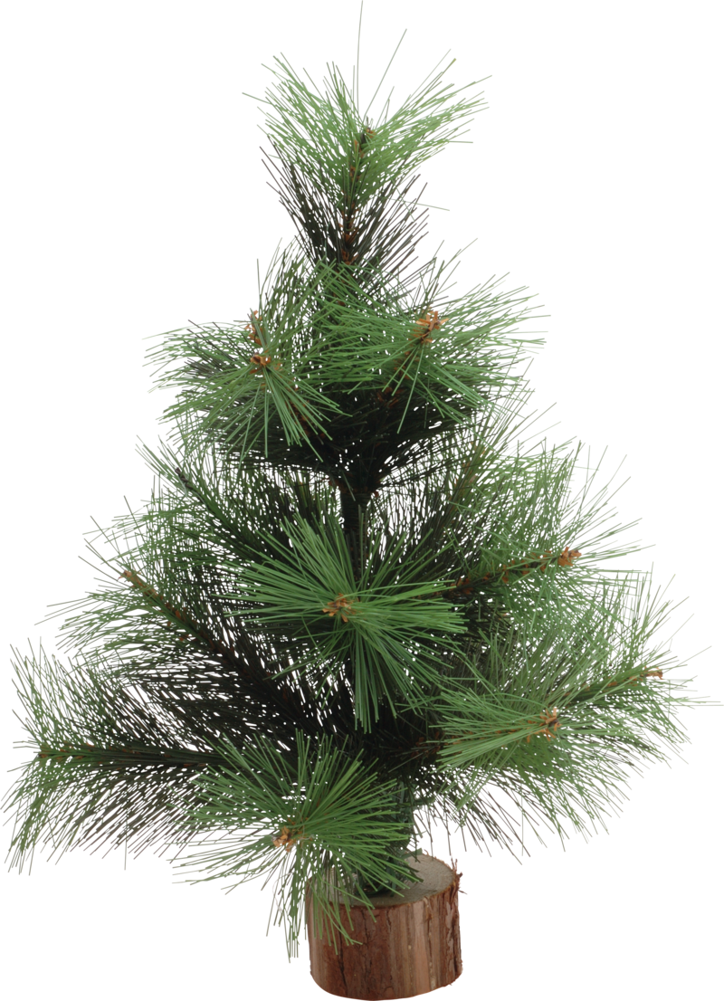 Christmas Tree Png, Download Png Image With Transparent - Christmas Tree (800x1106), Png Download