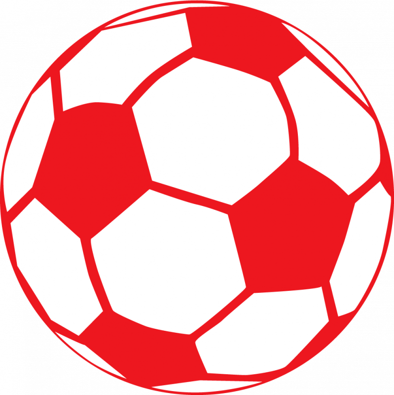 Carrot Clipart Single - Aff Suzuki Cup 2010 (799x800), Png Download