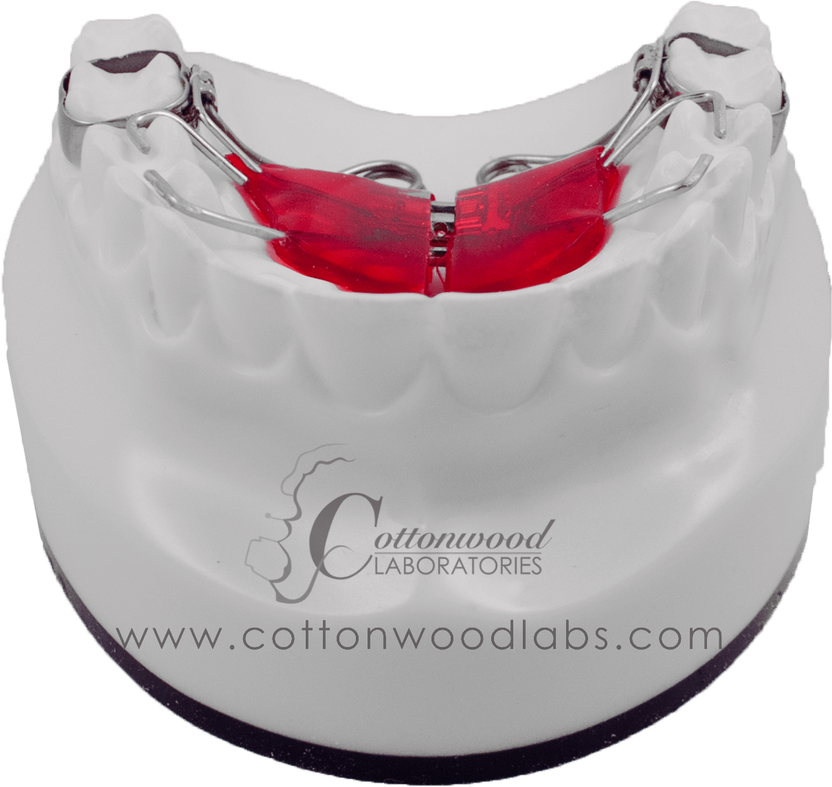 T-rex - Hobo Bag (2000x1200), Png Download