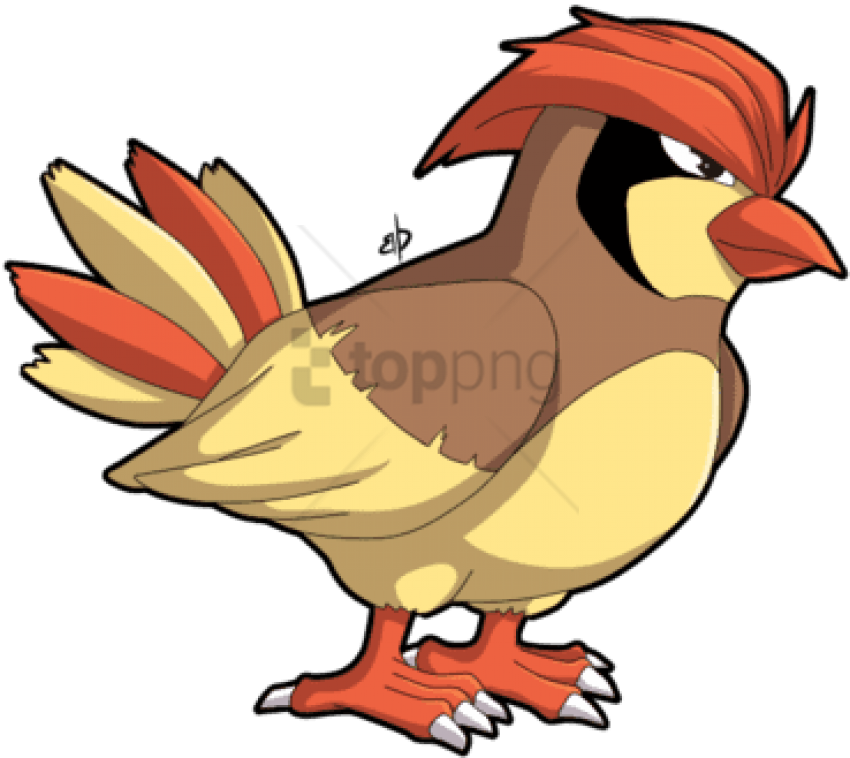Smosh Pokemon Pidgey - Pokemon Bird With Hair (500x375), Png Download