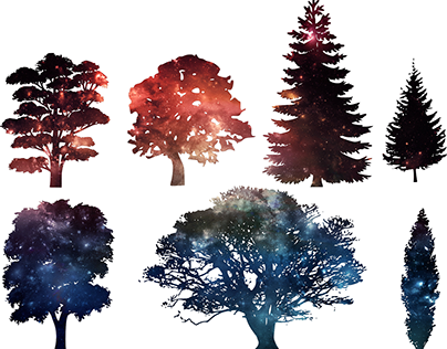 Pine Tree Silhouette (404x316), Png Download