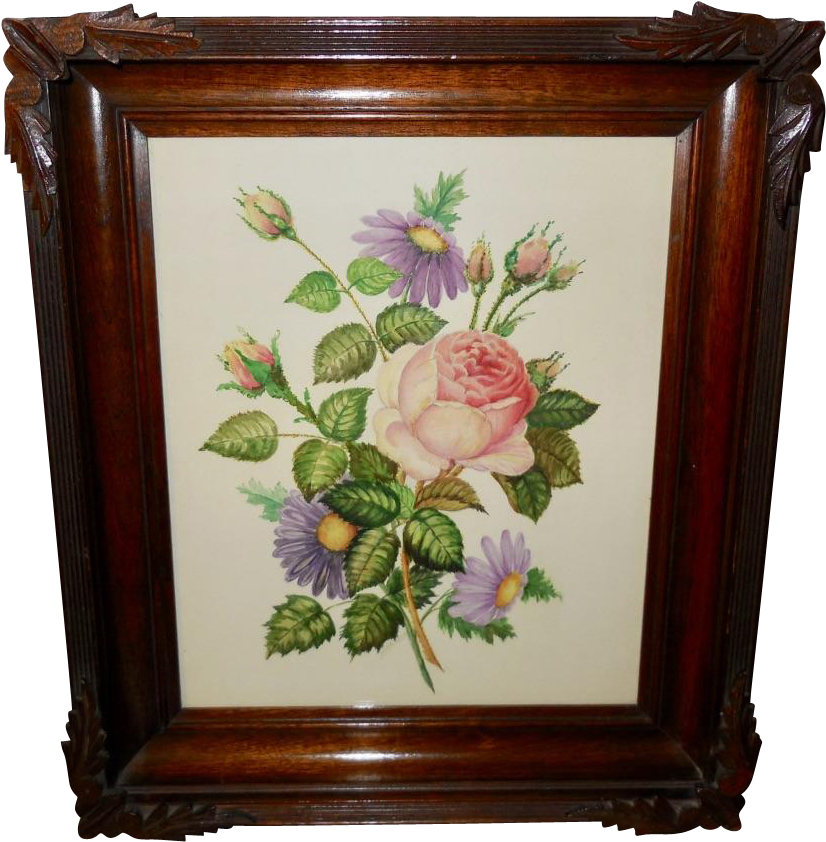 Artist Signed Floral Watercolor Of Moss Rose And Purple - Garden Roses (841x841), Png Download