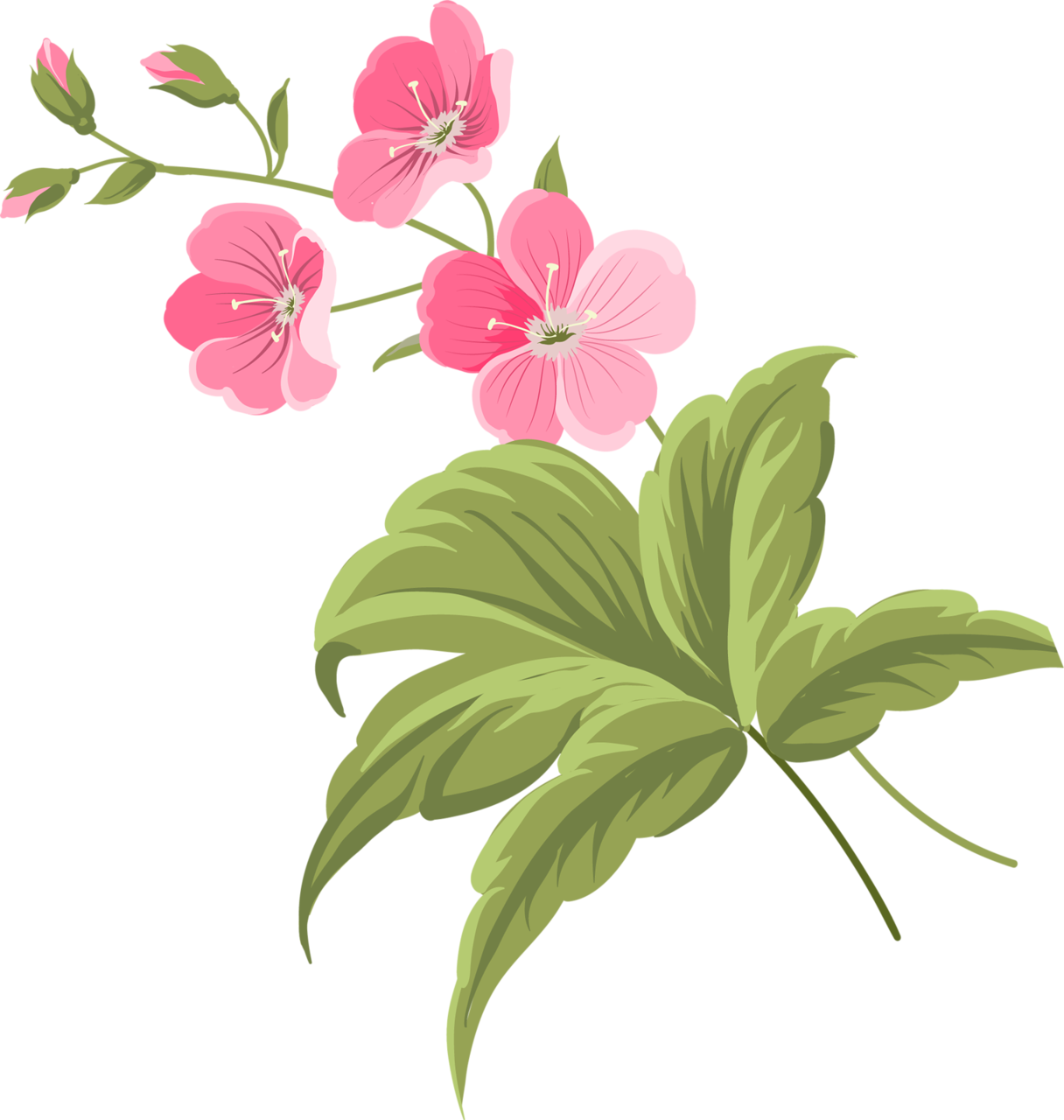 Яндекс - Фотки - Flower (1216x1280), Png Download