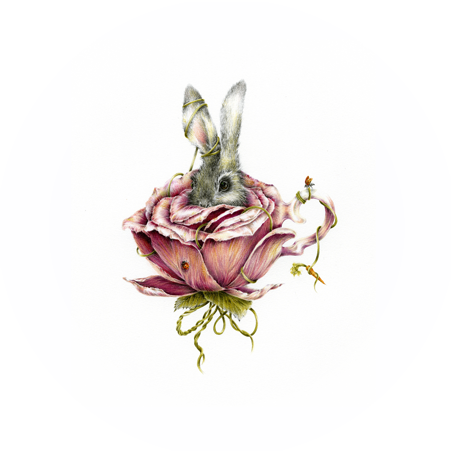 Home - Courtney Brims - Rabbit In Flower Tattoo (900x900), Png Download