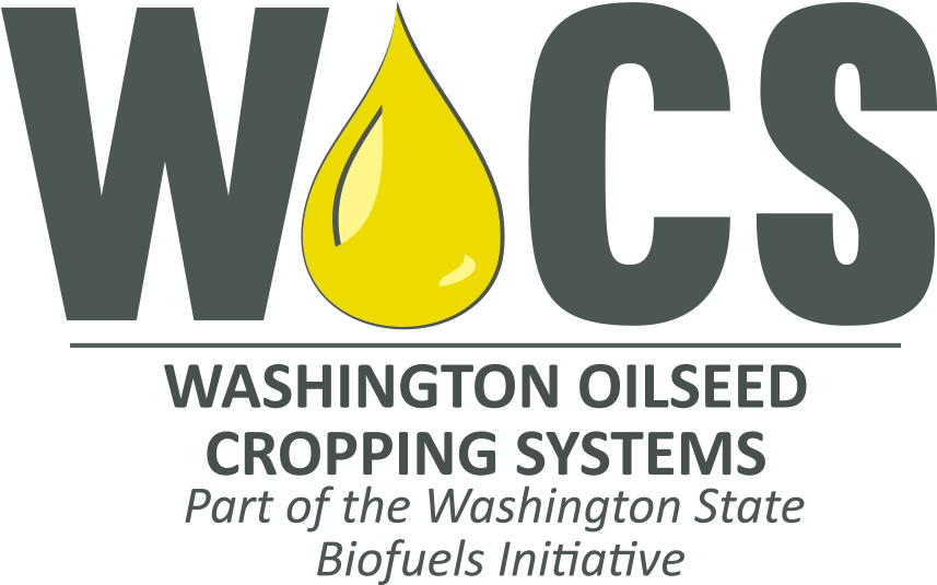 Abstract - Sign (1900x534), Png Download