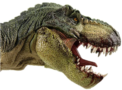 T Rex Png File - T Rex Head Side View (432x318), Png Download