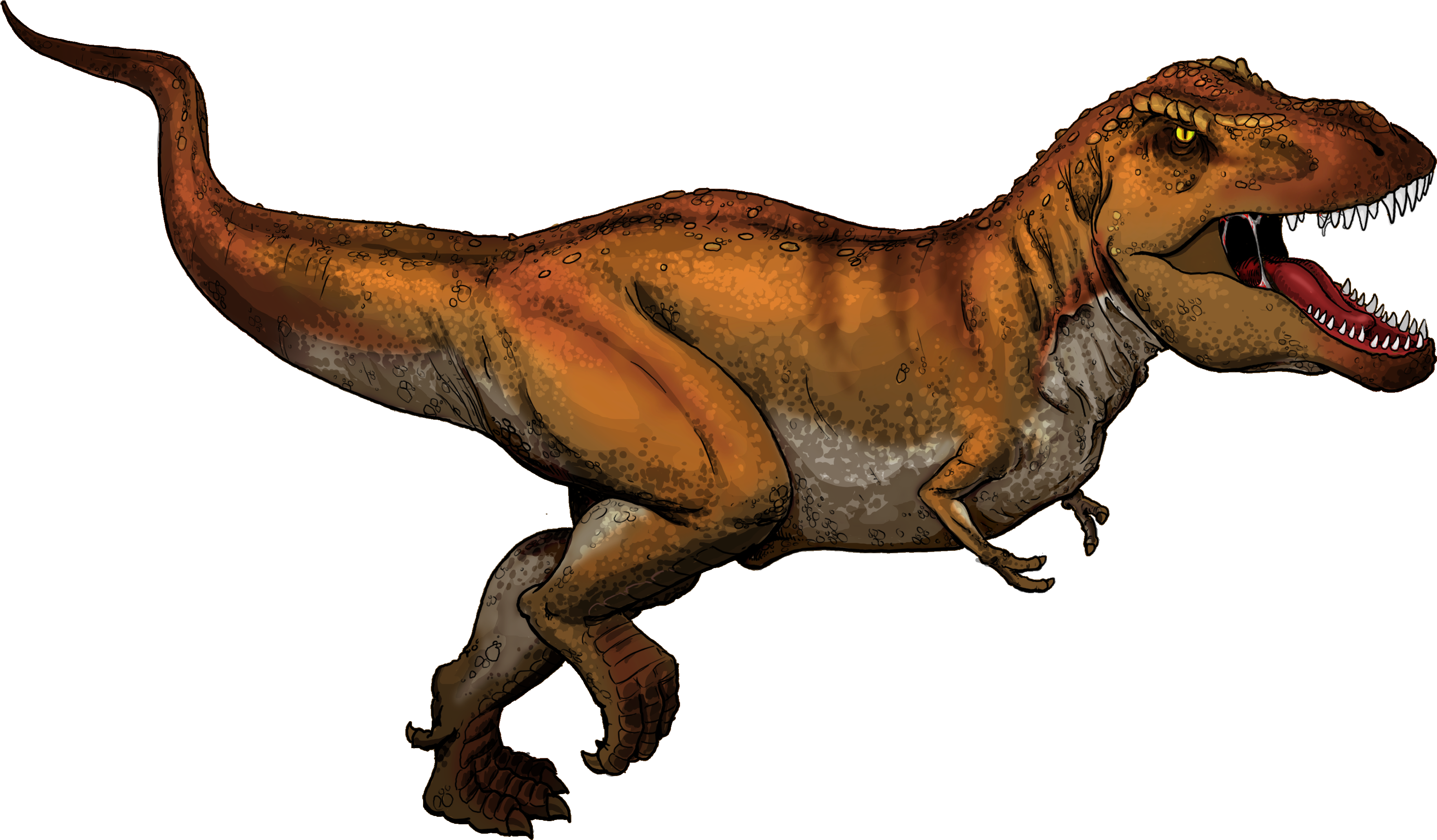 Tyrannosaurus Rex Colored - Tyrannosaurus Rex En Ingles (3800x2686), Png Download
