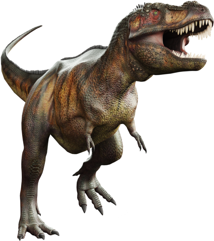 T Rex Png Transparent Picture - Bbc Home Video Dinosaur Adventures (894x894), Png Download