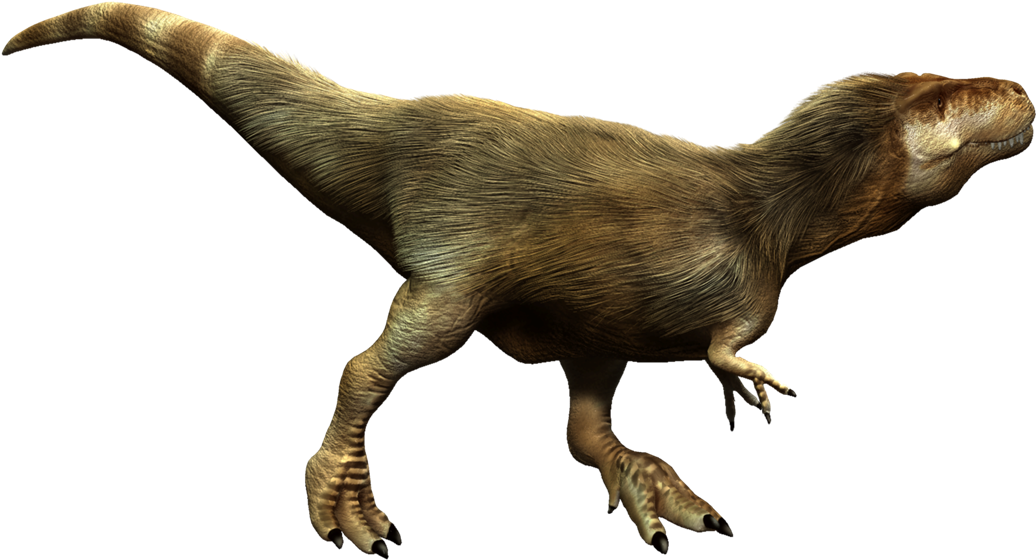 Tyrann - Tyrannosaurus (1075x730), Png Download