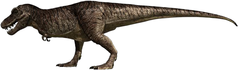 Tyrannosaurus Rex - Jurassic Fight Club T Rex (825x265), Png Download