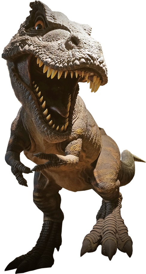 T-rex - T Rex (488x917), Png Download