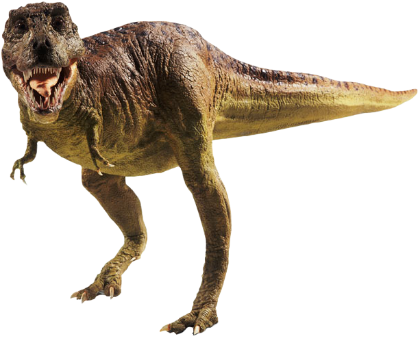 Dinosaur Footprints Reservation Tyrannosaurus Ransel - Dibujo Huellas De Dinosaurio (700x550), Png Download