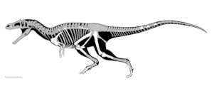Rex Wasn't The Only Dinosaur With Those Weird Little - Patagonia T Rex (300x200), Png Download