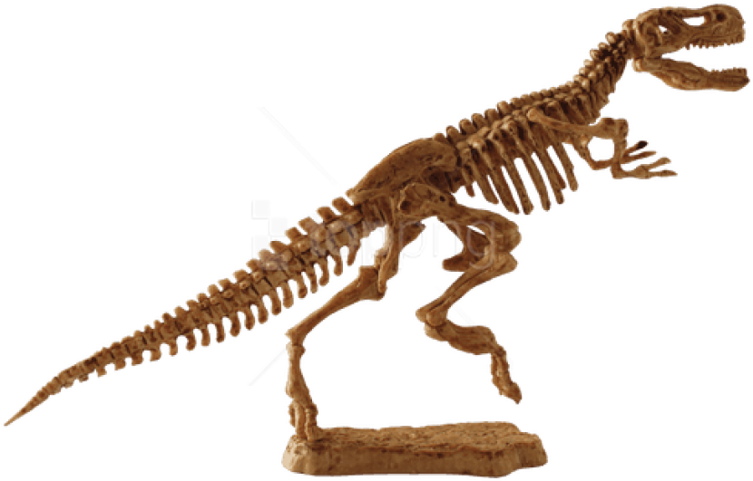 Download - Tiranosaurio Rex Juguete Fósil (500x341), Png Download