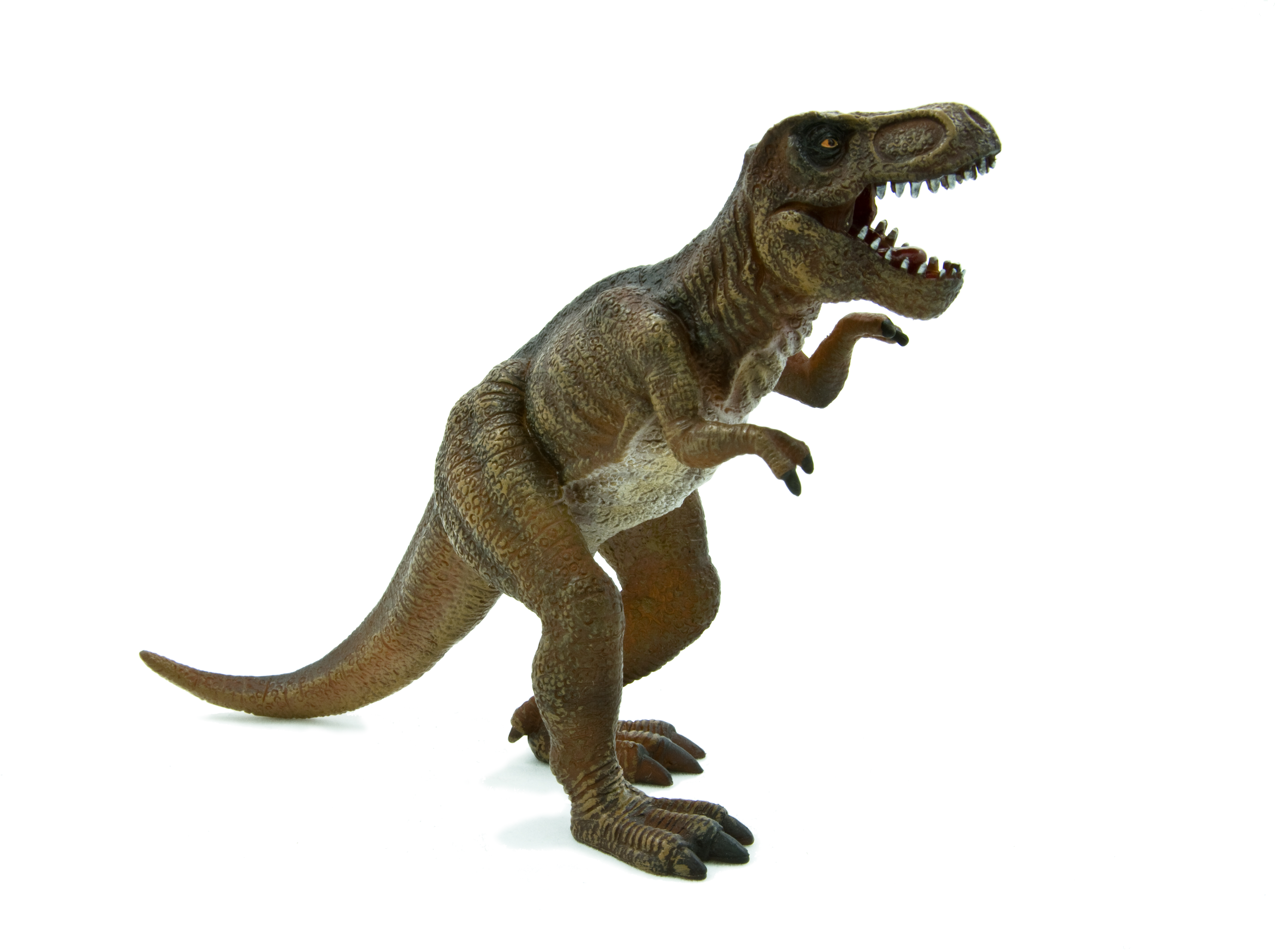 Animal Planet - Tyrannosaurus Rex (5197x3465), Png Download