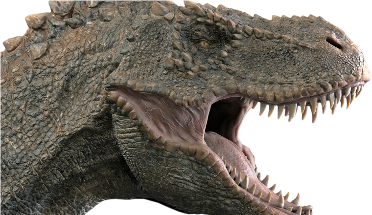 Theropods, Including Tyranosaurs Such As The Famous - T Rex Head Side (780x439), Png Download