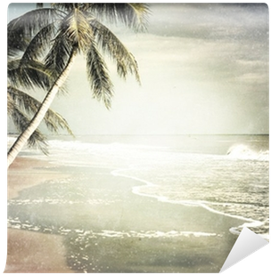 Vintage Tropical Beach Background Wall Mural • Pixers® - Grunge Beach Background (400x400), Png Download