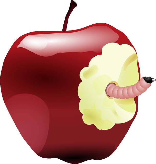Apple Fruit Clipart Teacher Quote - Bitten Apple (610x640), Png Download