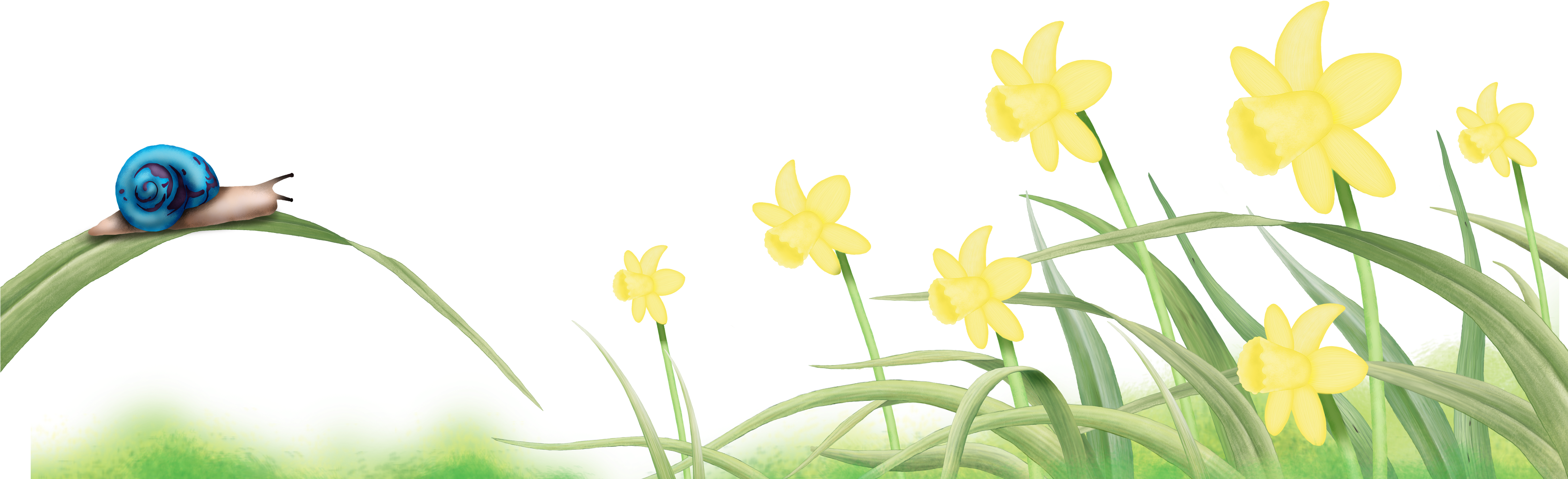 This Graphics Is Hand Drawn Cartoon Flower Decoration (4500x1770), Png Download
