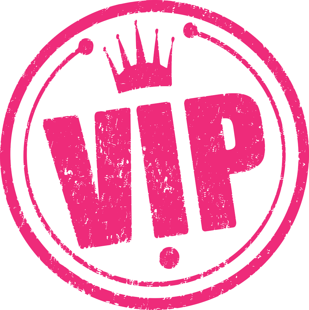 Vip Transparent Images - Vip Pass Logo (995x1000), Png Download