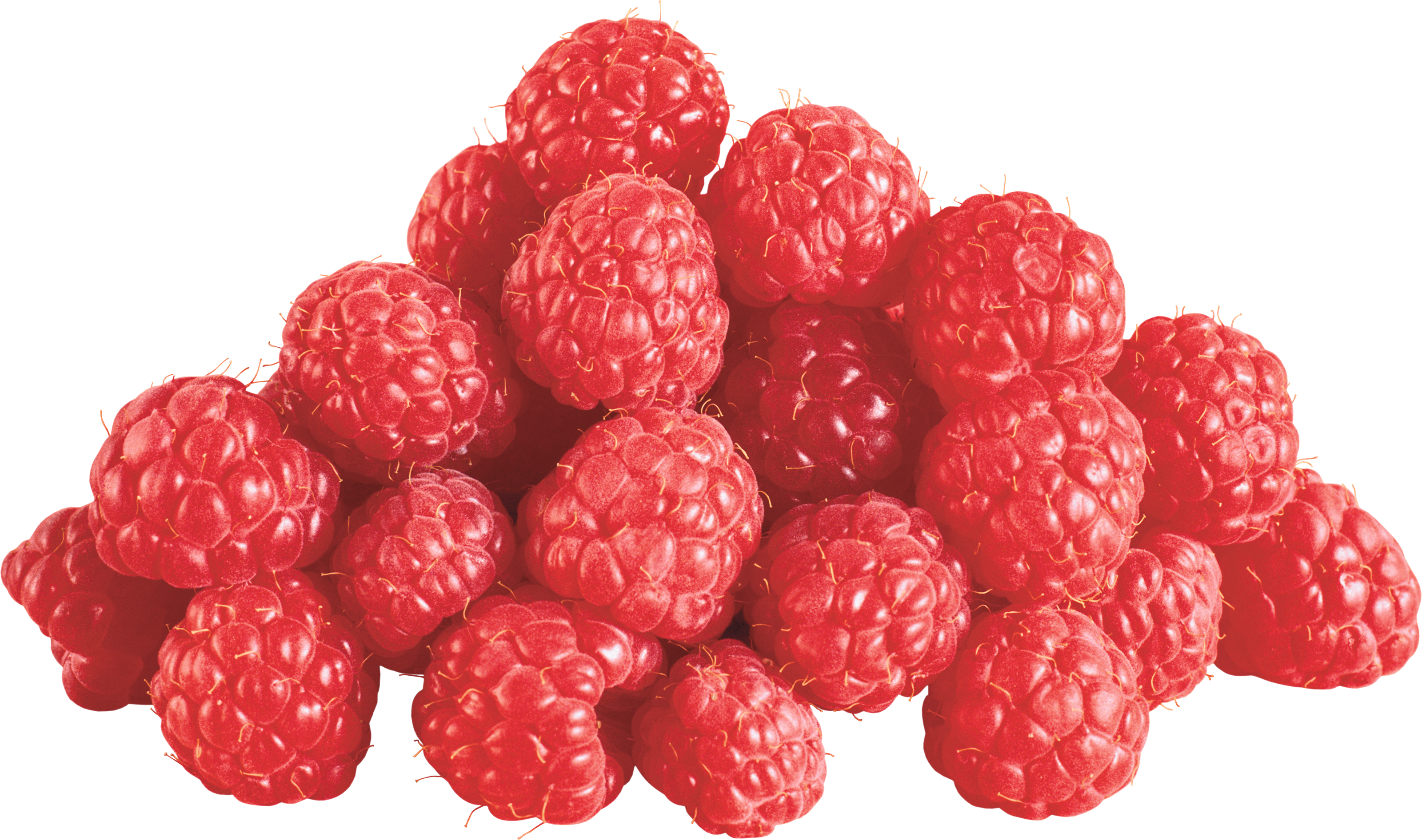 Berry Vector Raspberry - Raspberries Png (3200x1892), Png Download