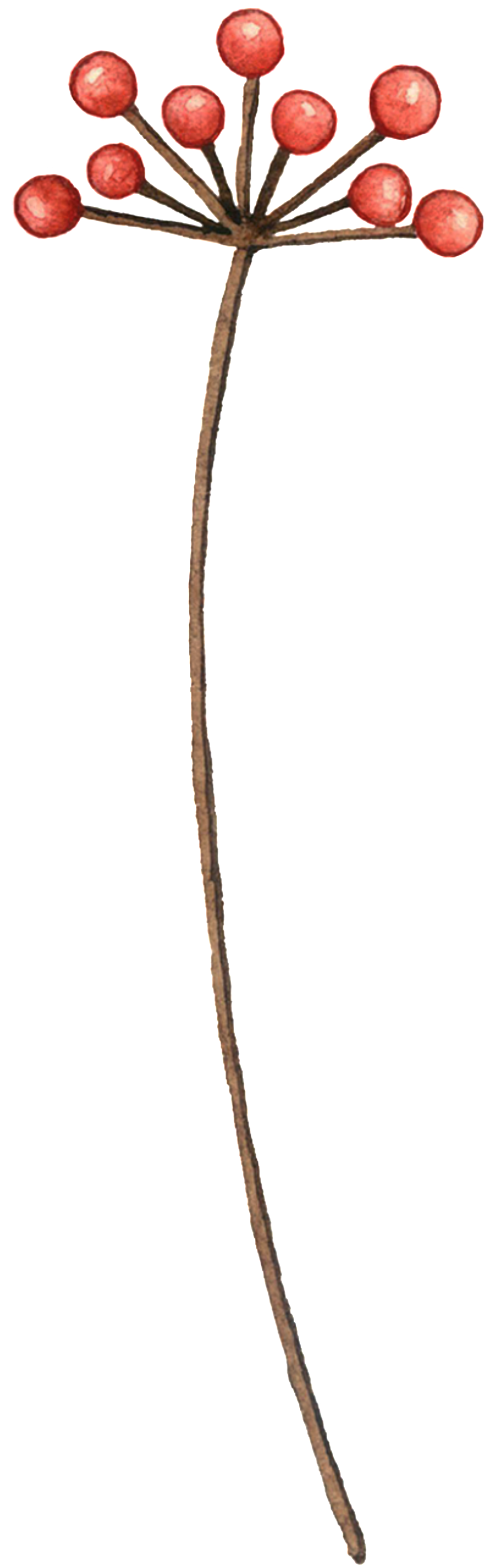 Watercolor Painting (1024x3188), Png Download