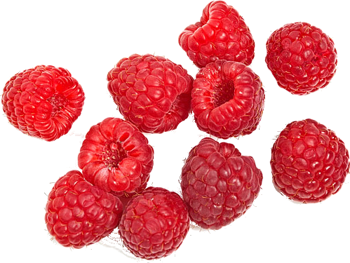 Berries, Transparent, And Food Image - Transparent Fruit (499x375), Png Download