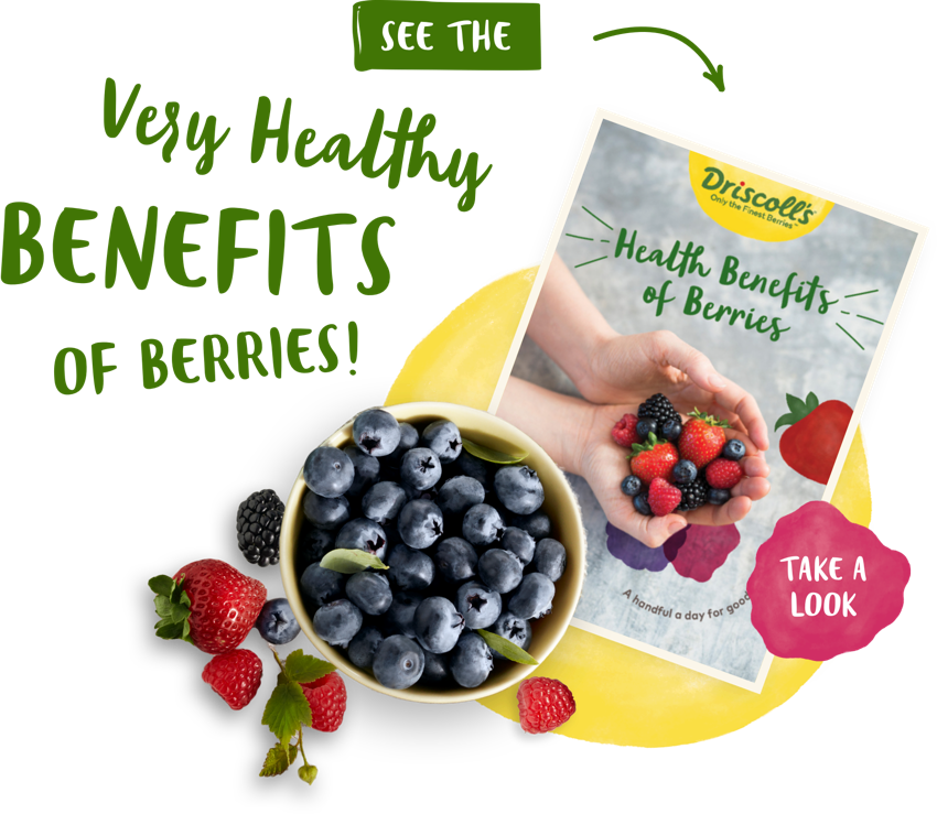 Health Benefits Of Berries - Frutti Di Bosco (850x739), Png Download